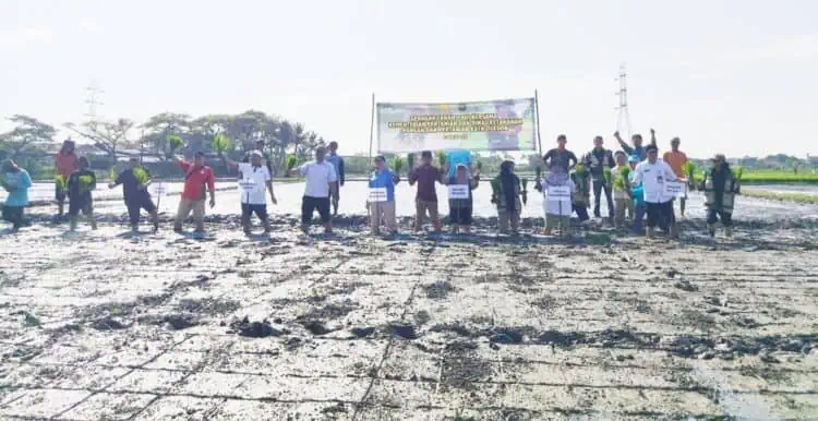 Percepat Luas Tambah Tanam, Ratusan Ribu Hektare Sawah Di Banten Mulai Digarap