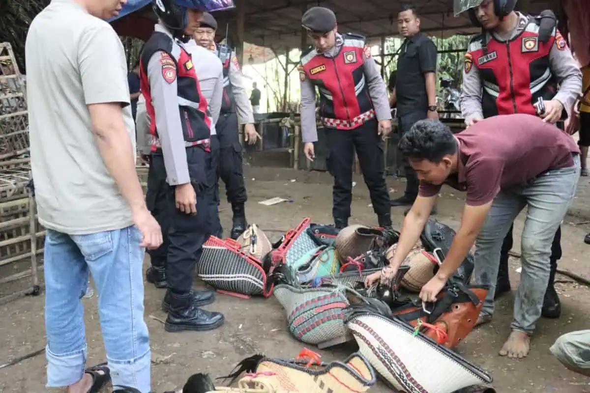 Dipimpin Kapolresta, Arena Judi Sabung Ayam di Jayanti Digulung Polisi Dipimpin Kapolresta, Arena Judi Sabung Ayam di Jayanti Digulung Polisi