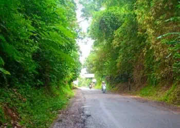 TANPA LAMPU PJU : Salah satu ruas jalan milik Provinsi Banten belum dilengkapi PJU. (ISTIMEWA)