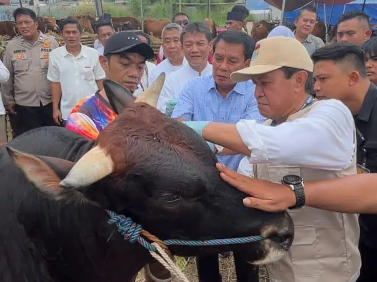 Jelang Idul Adha, Bupati Tangerang Pastikan Hewan Kurban di 334 Lapak Sehat dan Aman