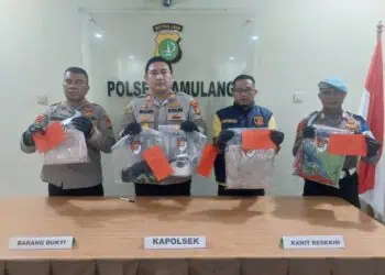 Anak Tega Bunuh Ibu Kandung di Pamulang, Ini Motifnya