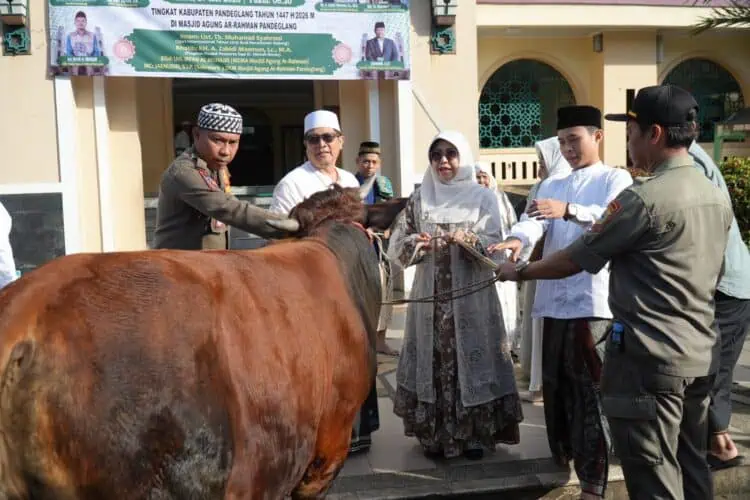 Bupati Pandeglang Sebut Iduladha Mengajarkan Tentang Kepedulian, Keikhlasan dan Pengorbanan