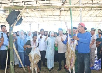 Bupati Serang Ratu Rahmatuzakiyah, Mendes PDT Rai Yandri Susanto, menyaksikan penyayatan hewan kurban, Kamis (28/5/2026). (ISTIMEWA)