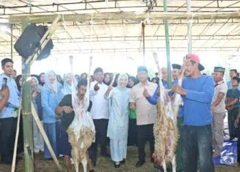 Bupati Serang Ratu Rahmatuzakiyah, Mendes PDT Rai Yandri Susanto, menyaksikan penyayatan hewan kurban, Kamis (28/5/2026). (ISTIMEWA)