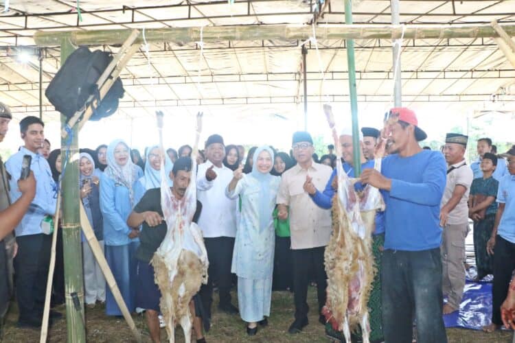 Bupati Serang Ratu Rahmatuzakiyah, Mendes PDT Rai Yandri Susanto, menyaksikan penyayatan hewan kurban, Kamis (28/5/2026). (ISTIMEWA)