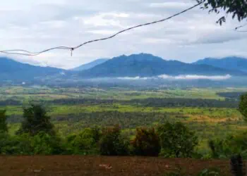 RAWA DANO - HAamparan Cagar Alam Rawa Dano, dengan latar belakang Gunung Karang dan Bukit Kemuning, bila dilihat dari spot Panenjoan, Desa Luwuk, Kecamatan Gunungsari. Terlihat pendangkalan di hamparan Rawa Dano. (MARDIANA/SATELITNEWS.COM)