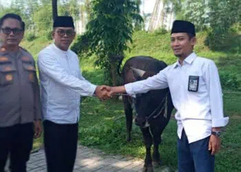 DLH Kota Tangerang Bangun Pusat Daur Ulang Sampah di TPA Rawa Kucing