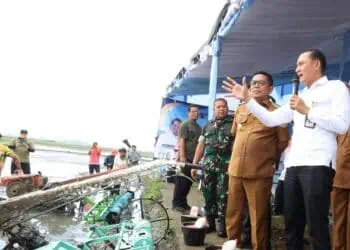 Percontohan Pertanian Modern, 100 Hektare Sawah di Banten Tanam Padi Lebih Rapat