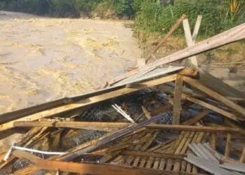 425 Ekor Ayam Petelur Milik BUMDes di Lebak Hanyut, Hanya Sisakan Puing