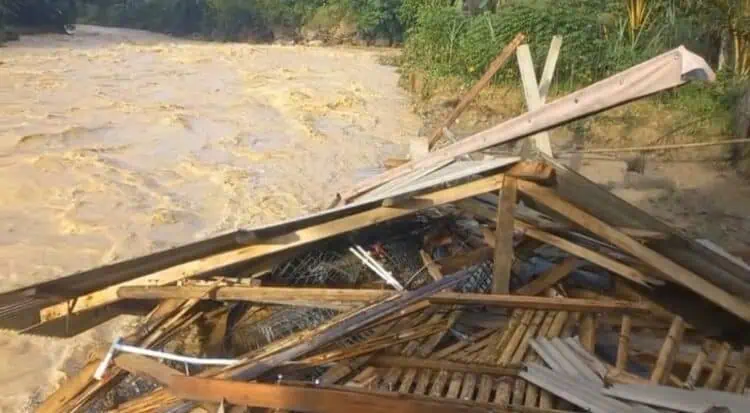 425 Ekor Ayam Petelur Milik BUMDes di Lebak Hanyut, Hanya Sisakan Puing