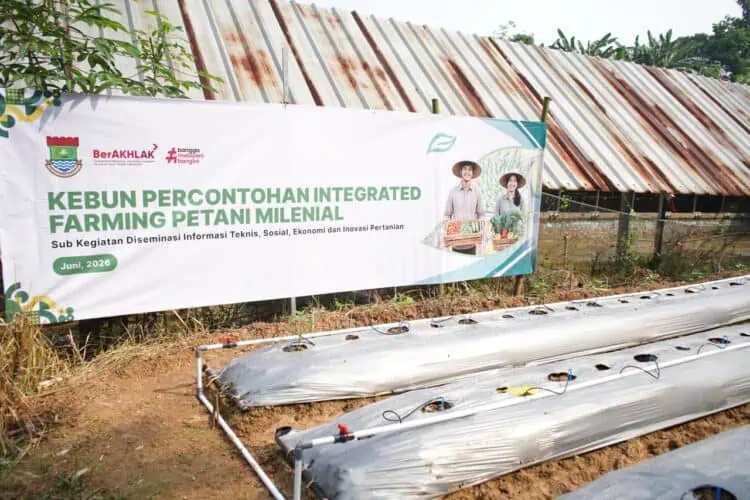 DKPP Kabupaten Tangerang Gelar Pelatihan Pertanian Terpadu, Ini Alasannya