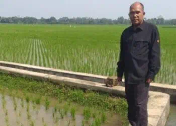 Pemprov Banten Klaim Cadangan Pangan Dimusim Kemarau Aman