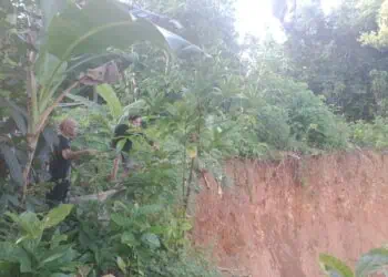 LONGSOR - Tanah tebing di area Hunian Tetap (Huntap), Kampung Palimping RT 02 RW 03, Desa Tunggal Jaya, Kecamatan Sumur, Kabupaten Pandeglang, longsor. (ISTIMEWA)