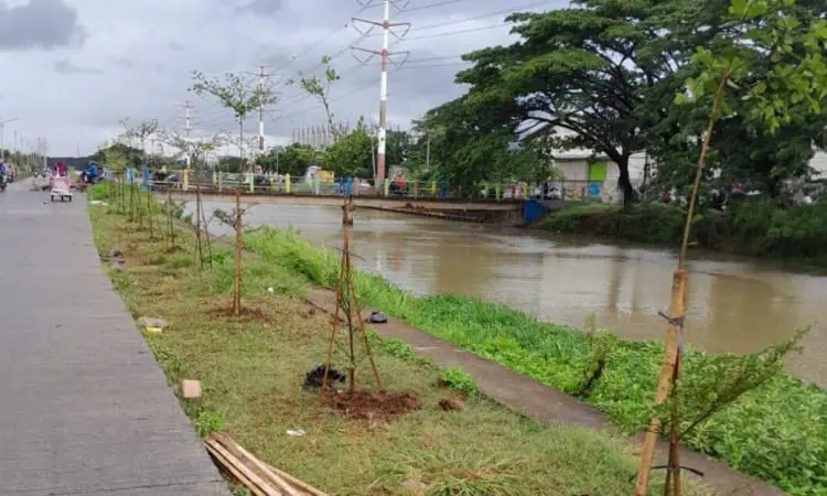 Sinergi Hijau, Gerakan “Banten Teduh Tangerang Sejuk” Targetkan 1 Juta Pohon