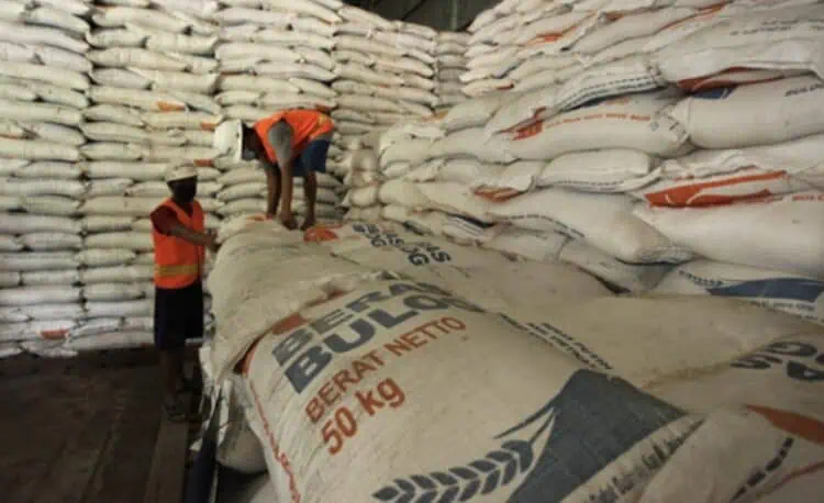 Serapan Gabah Bulog Lebak-Pandeglang Lewati 50 Ribu Ton