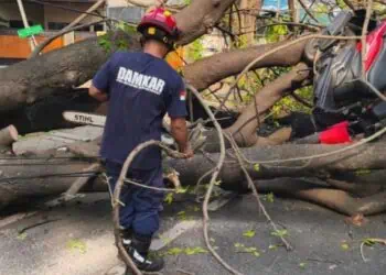 Pohon Tumbang Tutup Jalan Daan Mogot Tangerang, Pengendara Motor Terluka Ringan