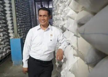Stok Beras 5,3 Juta Ton, Harga Pangan Bergerak Beragam