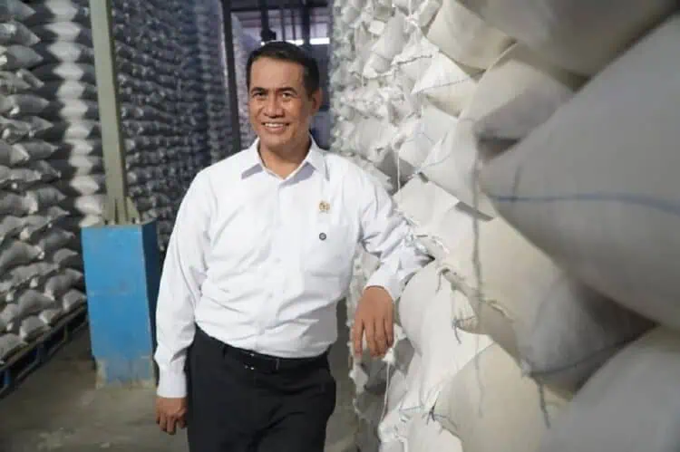 Stok Beras 5,3 Juta Ton, Harga Pangan Bergerak Beragam