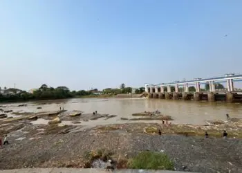 Kemarau Melanda, Debit Air Sungai Cisadane Tangerang Mulai Menyusut