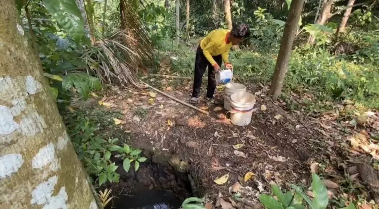 Sumur Mengering, Warga Lebak Rela Susuri Hutan Demi Setetes Air