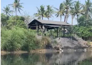 Air Sungai Cisadane di Teluknaga Menghitam, DLHK Akan Lakukan Verifikasi