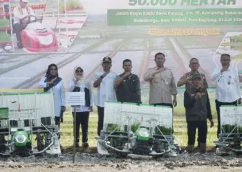 GERAKAN TANAM PADI - Bupati Dewi Setiani, saat menghadiri Gerakan Tanam Padi Serentak Nasional seluas 50.000 hektare, yang digelar di Desa Sukalangu, Kecamatan Saketi, Jumat (3/7/2026). (ISTIMEWA)