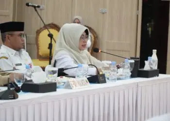 PAPARAN - Bupati Pandeglang Raden Dewi Setiani, menyampaikan paparan program dan harapannya di hadapan anggota Komisi II DPR RI, Rabu (8/7/2026). (ISTIMEWA)
