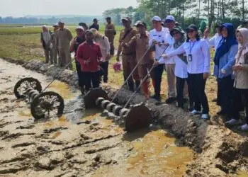 Pemprov Banten Perkuat Produksi Pangan, PM-AAS Jadi Andalan Tingkatkan Produksi Padi