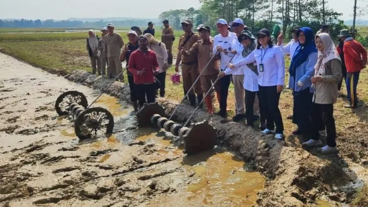 Pemprov Banten Perkuat Produksi Pangan, PM-AAS Jadi Andalan Tingkatkan Produksi Padi