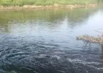 DLHK Banten Temukan Sumber Sungai Cisadane Berubah Hitam, Andra Soni Minta Ditindak Tegas