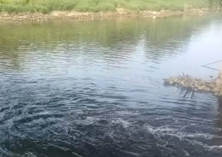 DLHK Banten Temukan Sumber Sungai Cisadane Berubah Hitam, Andra Soni Minta Ditindak Tegas