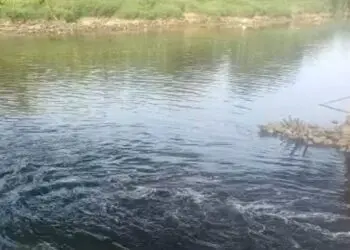 TERCEMAR LIMBAH -- Sungai Cisadane di wilayah Pakuhaji, Kabupaten Tangerang, diduga tercemar oleh limbah industri. (ISTIMEWA)