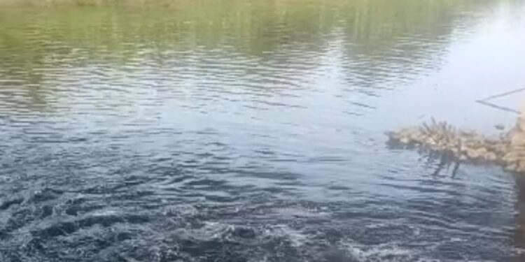 TERCEMAR LIMBAH -- Sungai Cisadane di wilayah Pakuhaji, Kabupaten Tangerang, diduga tercemar oleh limbah industri. (ISTIMEWA)