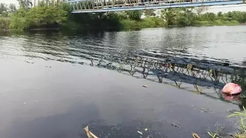 Kasus Pencemaran Sungai Dilaporkan Ke Pusat, DLHK Banten Pastikan Sanksi Tegas Bagi Pelaku