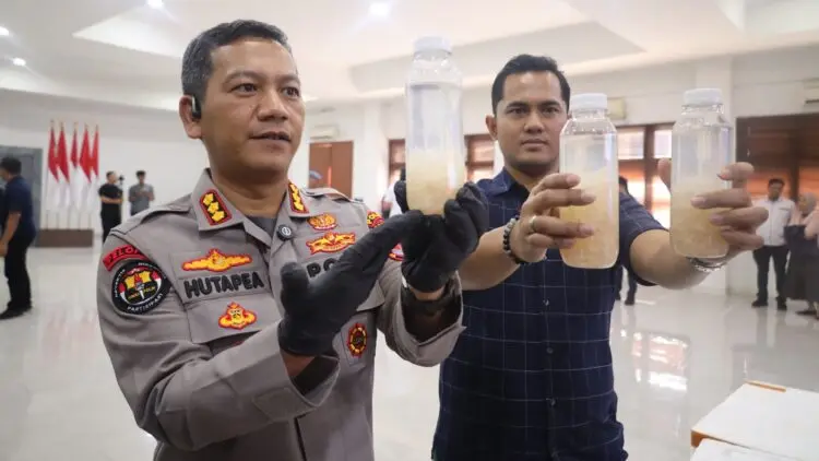 Upaya Penyelundupan 50 Ribu Benih Bening Lobster Senilai Rp7,5 Miliar Digagalkan