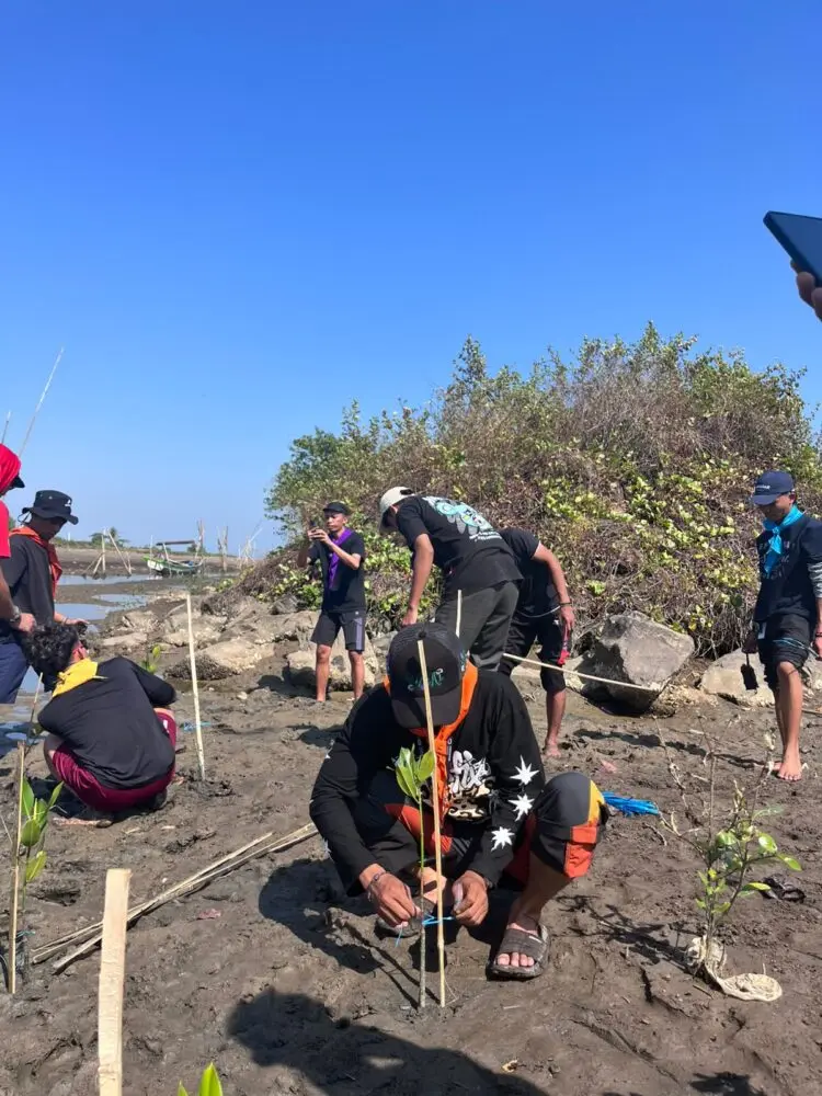 MENANAM MANGROVE - Ratusan peserta yang merupakan perwakilan dari Mapala se-Banten, Siswa Pencinta Alam (Sispala) dan komunitas pencinta alam, mengikuti kegiatan Mangrove Camp Vol. 3, Sabtu - Minggu (25 - 26/7/2026) di Cibungur, Kecamatan Sukaresmi, Kabupaten Pandeglang. (ISTIMEWA)
