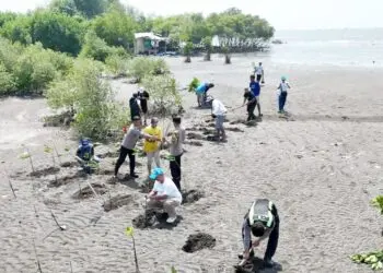 TANAM MANGROVE: Pegiat lingkungan yang tergabung dalam Koalisi Aktivis Lingkungan Hidup Tangerang (Kalung) bersama personel Polsek Teluknaga menanam ribuan bibit mangrove di Desa Muara, Kecamatan Teluknaga, Kabupaten Tangerang, Selasa (28/7/2026). Aksi ini dilakukan untuk memperkuat benteng alami pesisir, mencegah abrasi, sekaligus menjaga kelestarian ekosistem mangrove di pesisir utara Tangerang. (ISTIMEWA)