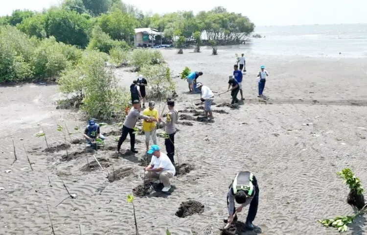 Aktivis Tanam Ribuan Mangrove, Perkuat Benteng Alami Pesisir Utara Tangerang