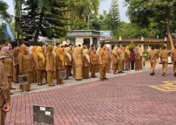 Honor Tenaga Ahli Masih Jadi Sorotan, P3K Pemprov Banten Merasa Dianaktirikan