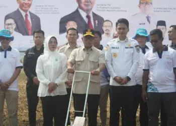 PANEN RAYA -- Kegiatan Panen Raya Padi Organik Varietas PS-08 seluas 1.500 hektare, serta Gerakan Tanam Jagung Hibrida PS-08 seluas 500 hektare, yang digelar di Markas Besar Brigade Pangan Bhakti Bela Negara, Desa Sukarame, Kecamatan Carita, Kabupaten Pandeglang, Kamis (30/7/2026). (ISTIMEWA)