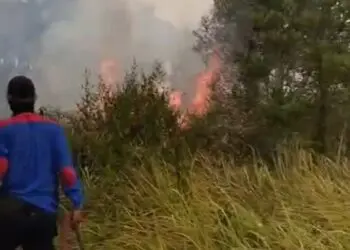 BPBD Kabupaten Tangerang Catat 11 Kebakaran Lahan Dalam Satu Hari