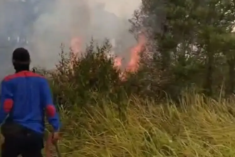 BPBD Kabupaten Tangerang Catat 11 Kebakaran Lahan Dalam Satu Hari