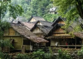 Pemburu Satwa Liar Diduga Masuk Hutan Baduy, Lembaga Adat Geram