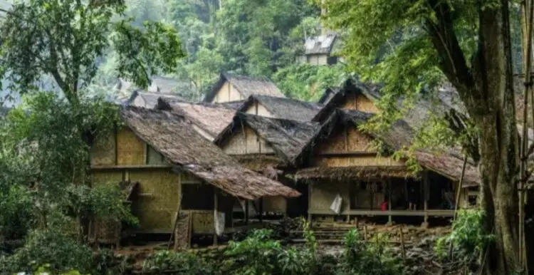 Pemburu Satwa Liar Diduga Masuk Hutan Baduy, Lembaga Adat Geram
