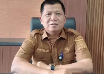 Kepala DPMPTSP Kabupaten Serang, Wawan Ikhwanudin. (ISTIMEWA)