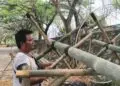 Jelang HUT RI, Pedagang Bambu di Tigaraksa Tangerang Kebanjiran Order
