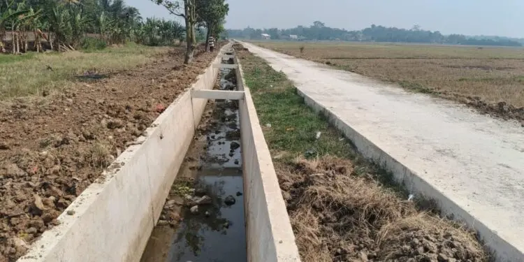 KERING : Daerah Irigasi (DI) di Desa Bojongpandan, Kecamatan Tunjungteja, Kabupaten Serang kering dan tidak bisa dimanfaatkan. Akibat hal itu, lebih dari 80 hektare lahan pertanian mengalami kekeringan. (ADIB FAHRI/SATELITNEWS.COM)