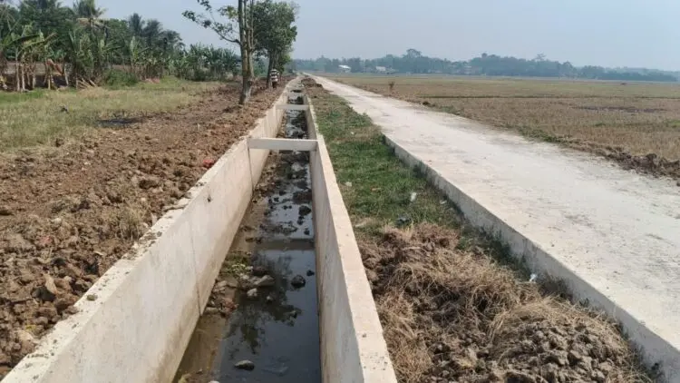 Kekeringan Meluas, Ratusan Hektare Sawah di Banten Gagal Panen