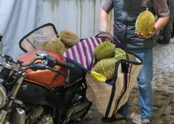 MAMANG DUREN -- Mustofa, ASN di lingkungan Pemkab Pandeglang, yang juga berusaha sampingan dengan berjualan buah Kadu. (ISTIMEWA)