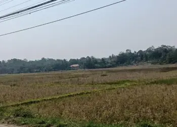 Pemprov Banten Bakal Tambah Anggaran AUTP Tahun 2027